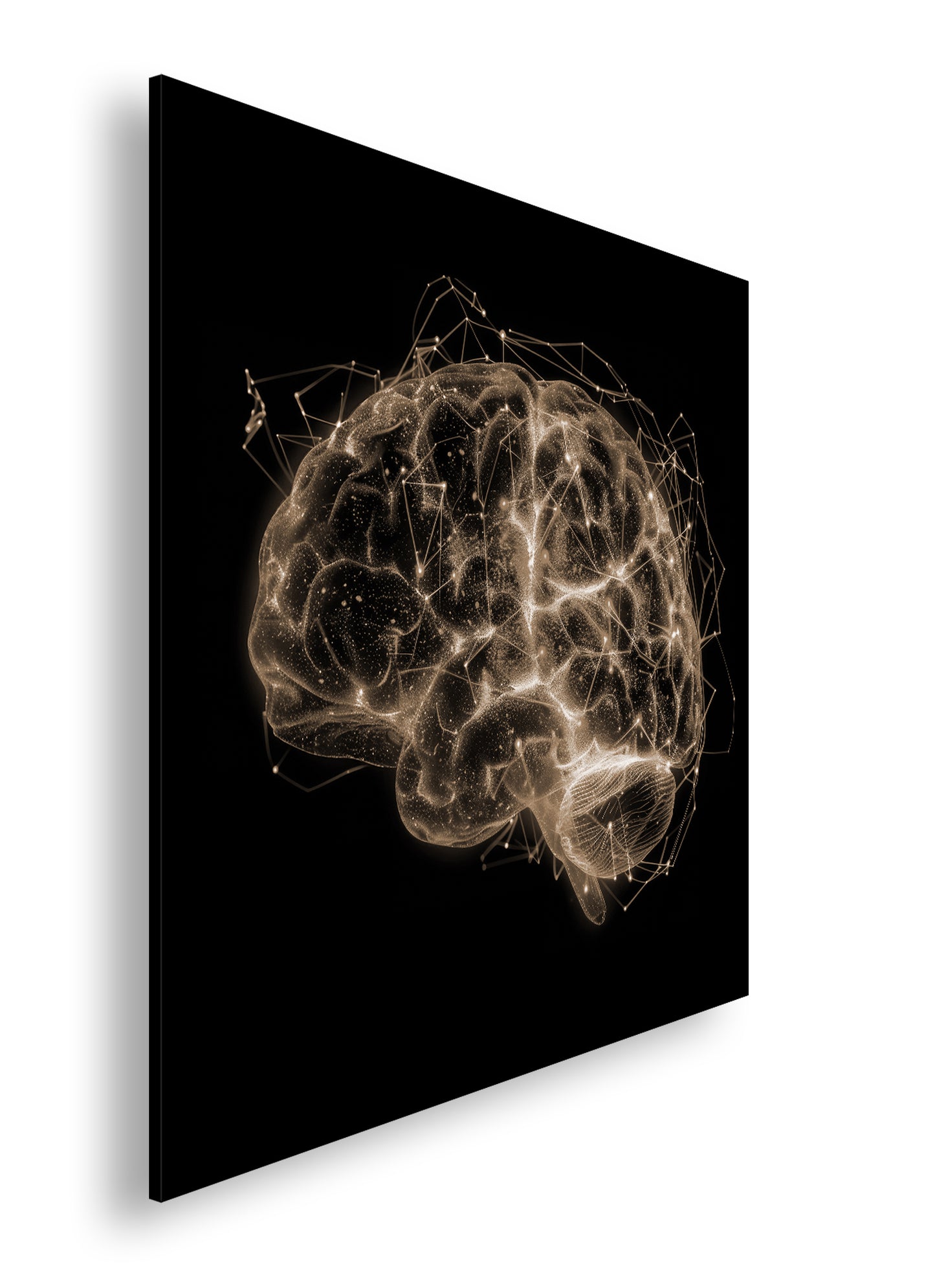 Hauptbild Sepia Quadratisch