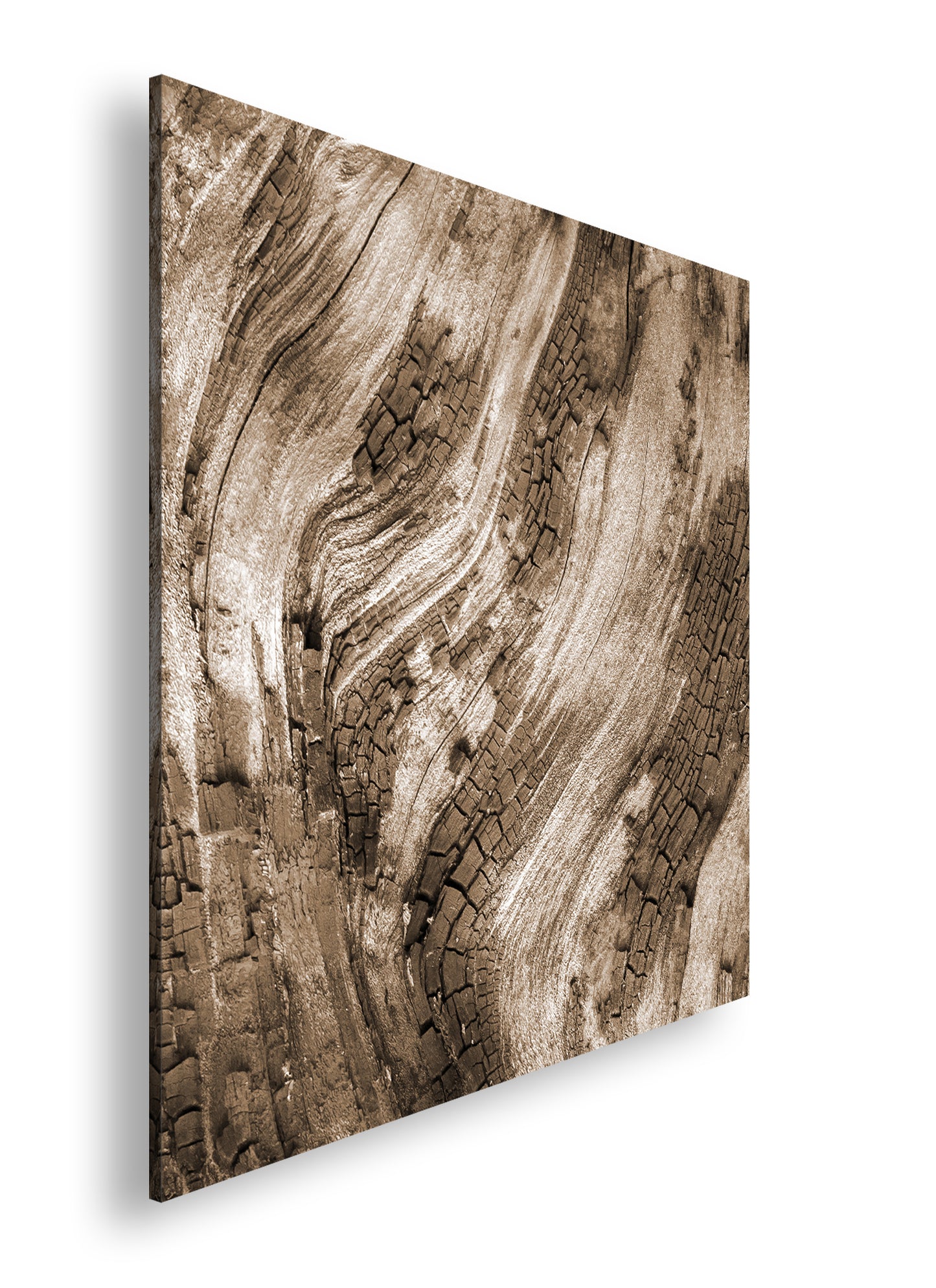 Hauptbild Sepia Quadratisch