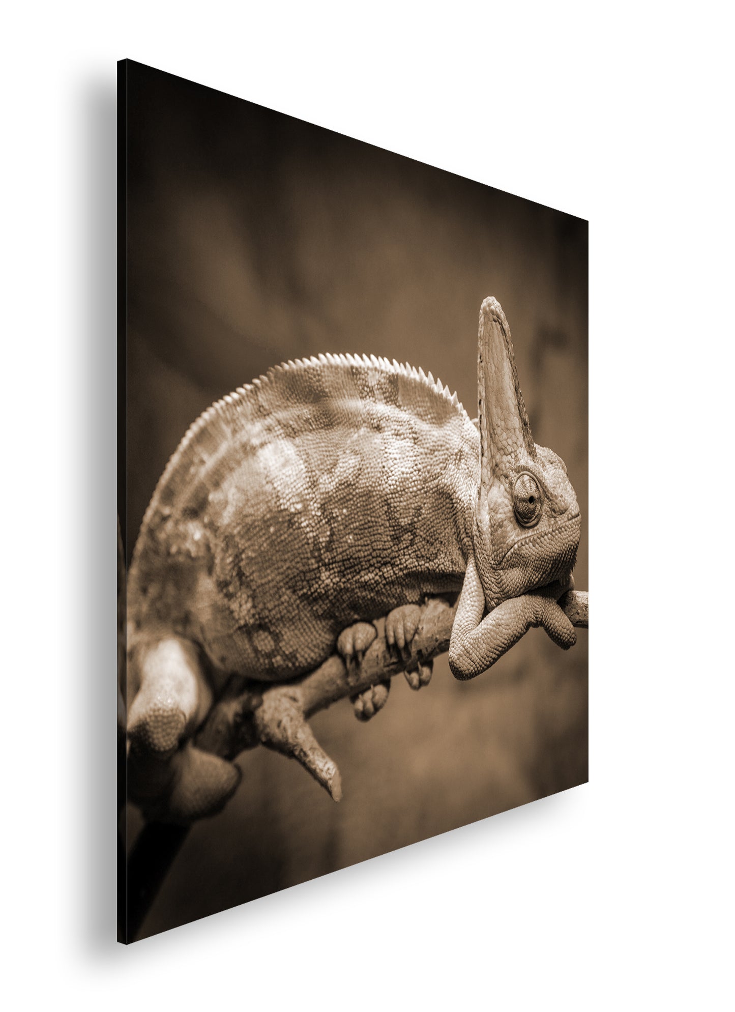 Hauptbild Sepia Quadratisch