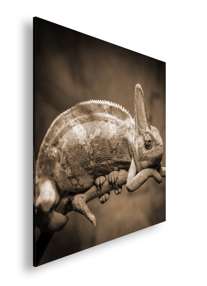 Hauptbild Sepia Quadratisch