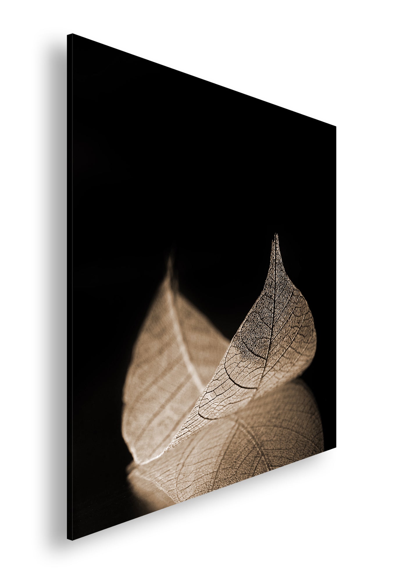 Hauptbild Sepia Quadratisch