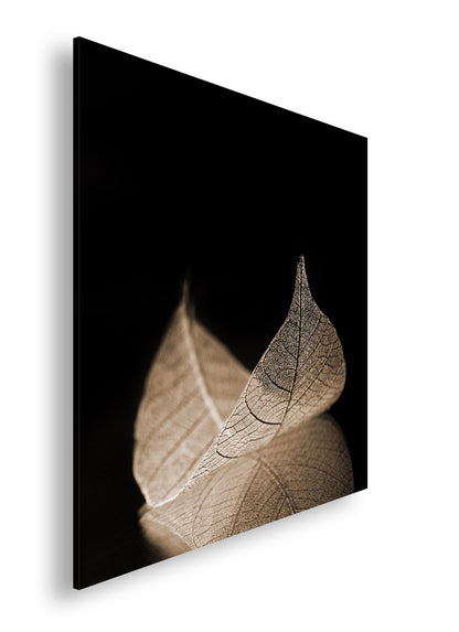 Hauptbild Sepia Quadratisch