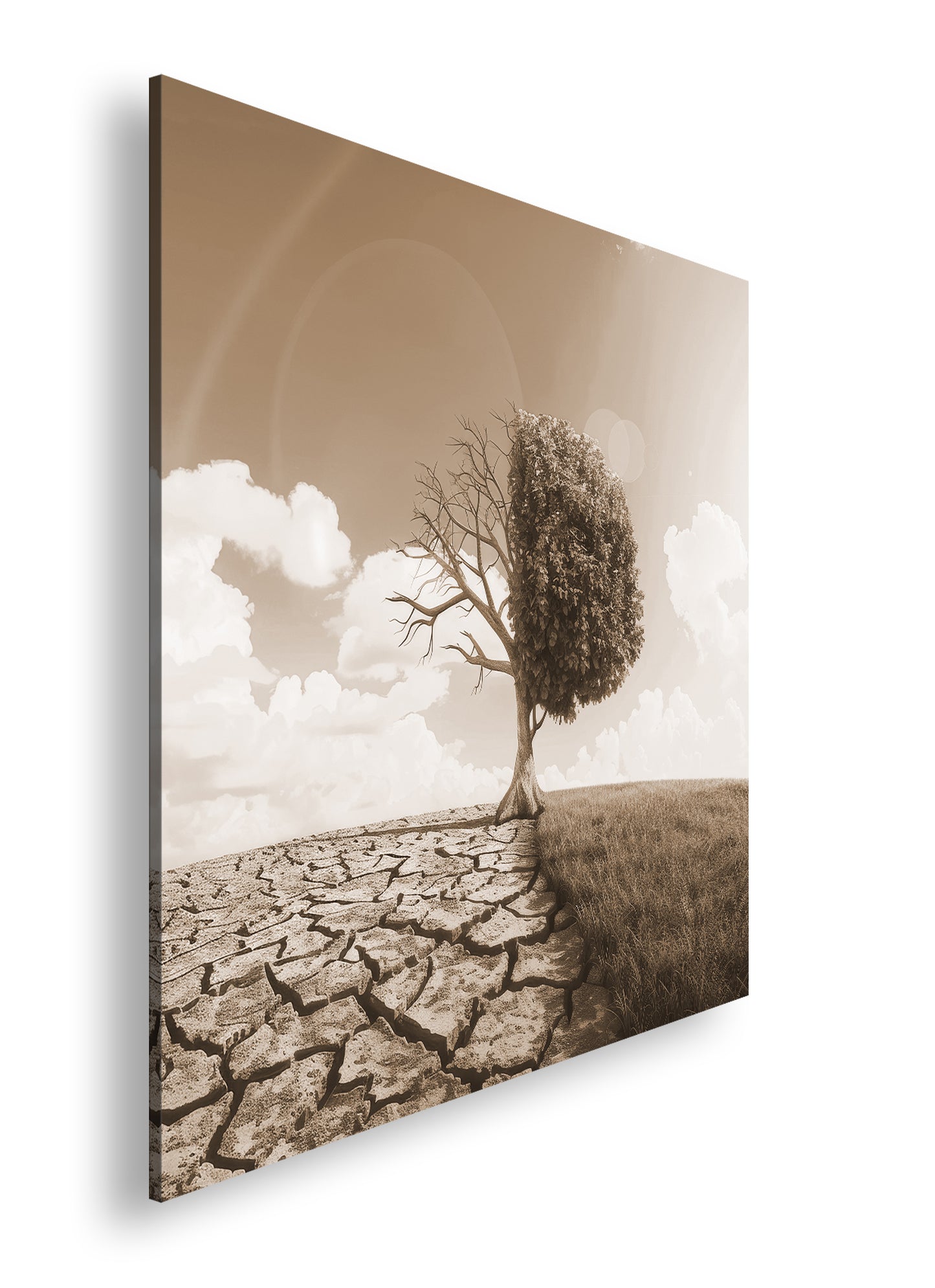 Hauptbild Sepia Quadratisch