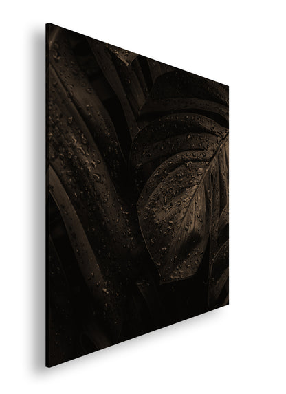 Hauptbild Sepia Quadratisch