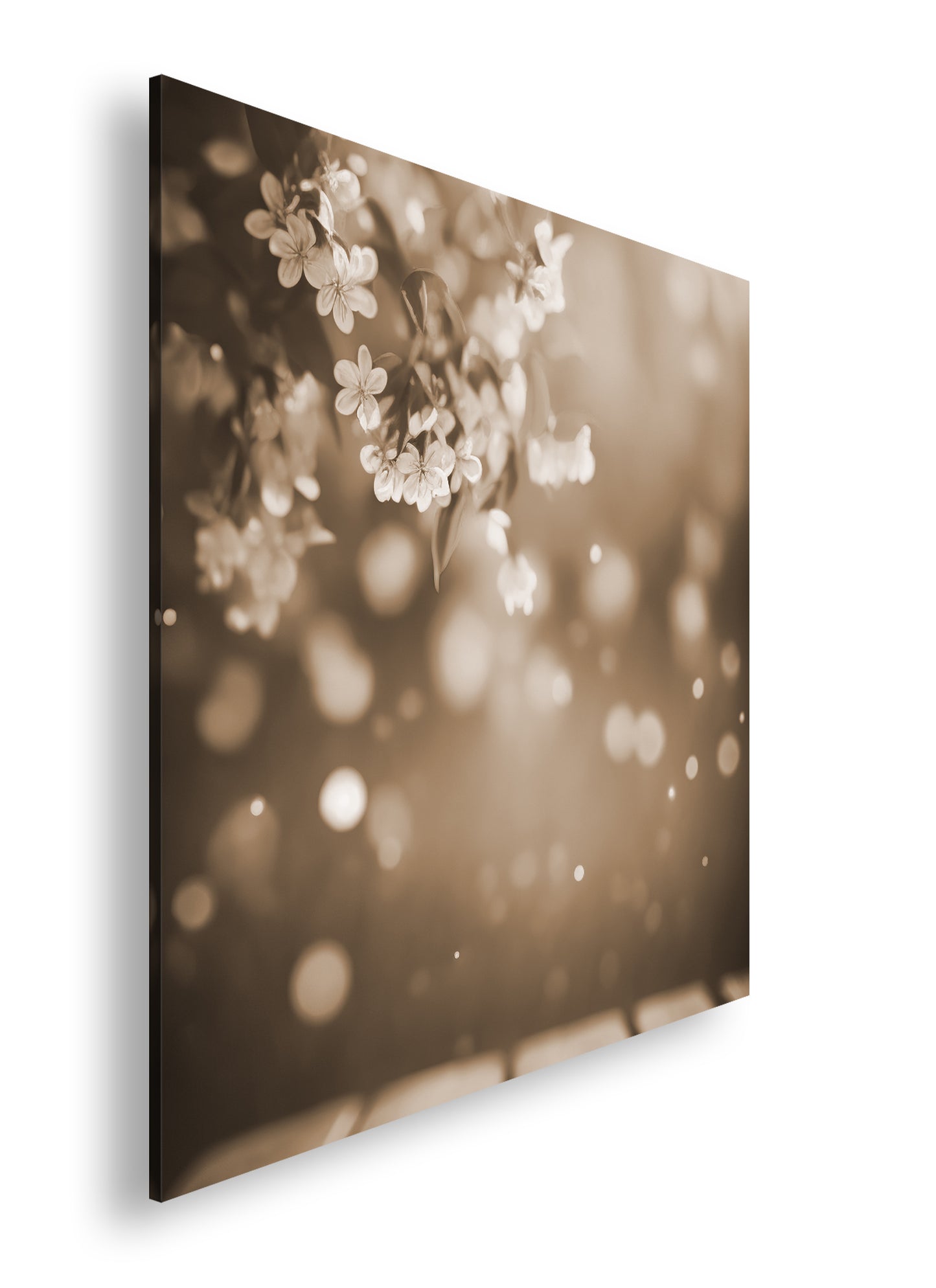 Hauptbild Sepia Quadratisch