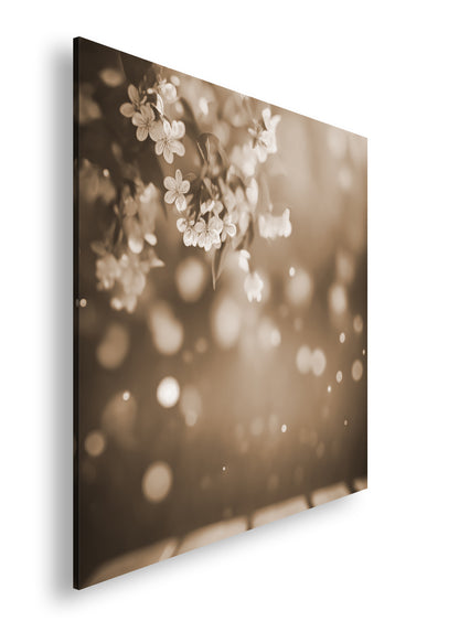 Hauptbild Sepia Quadratisch