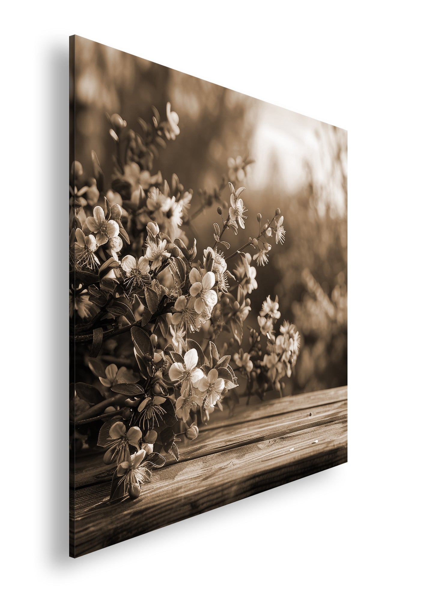 Hauptbild Sepia Quadratisch