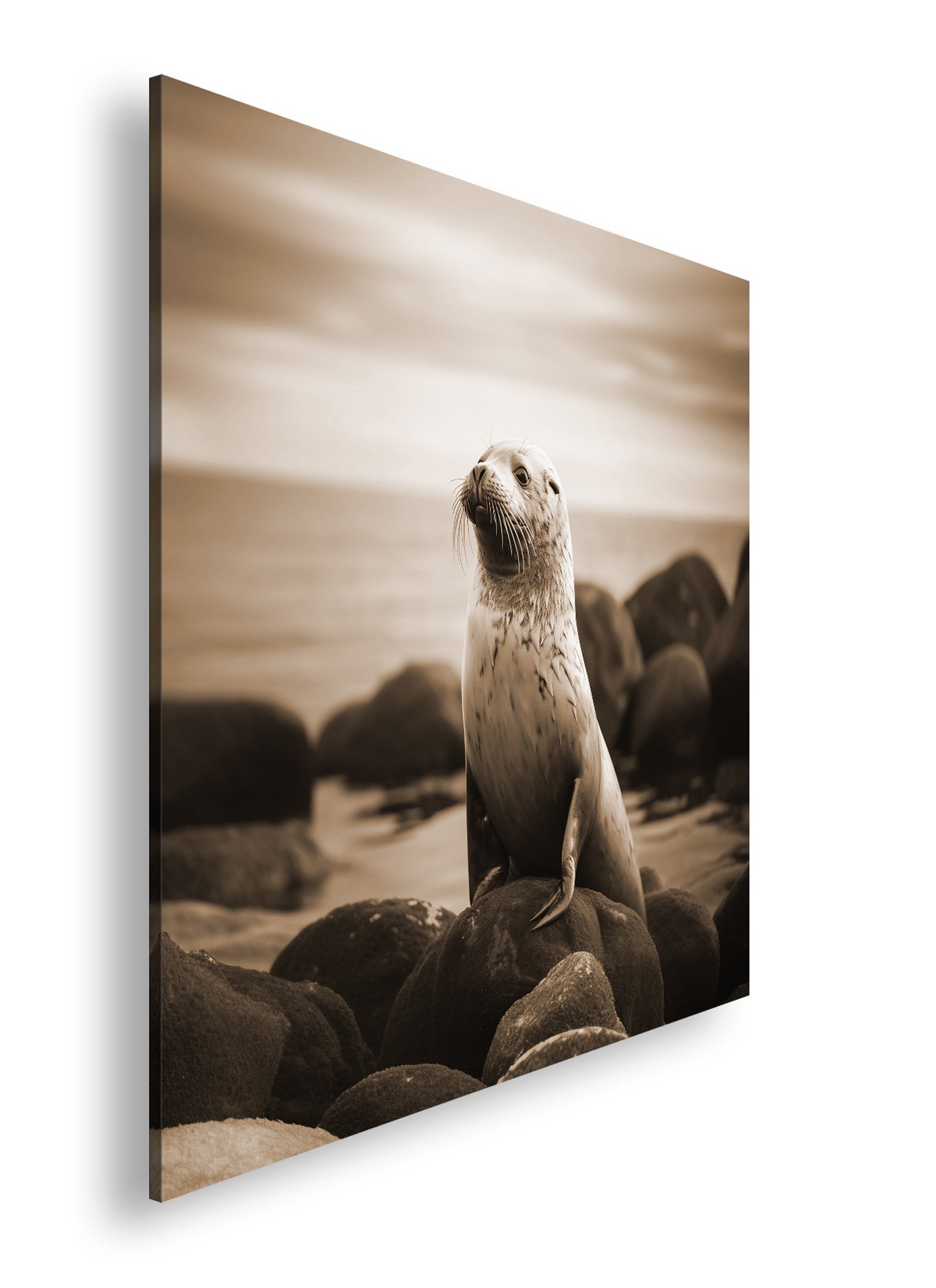 Hauptbild Sepia Quadratisch