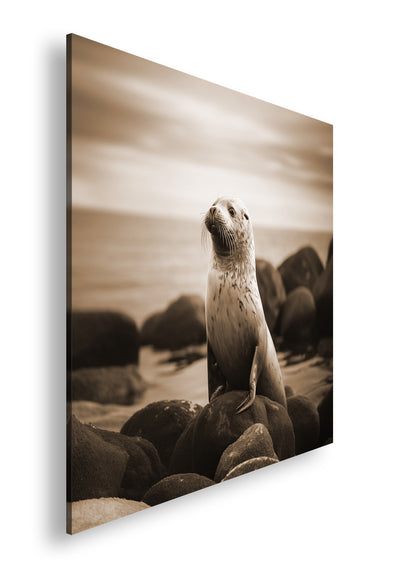 Hauptbild Sepia Quadratisch