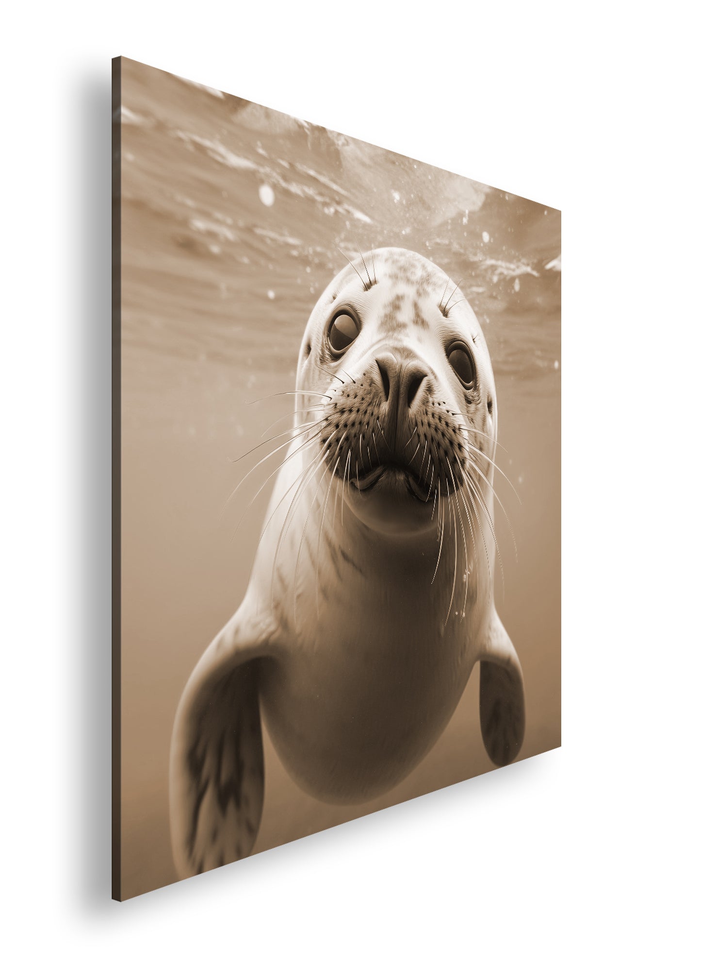 Hauptbild Sepia Quadratisch