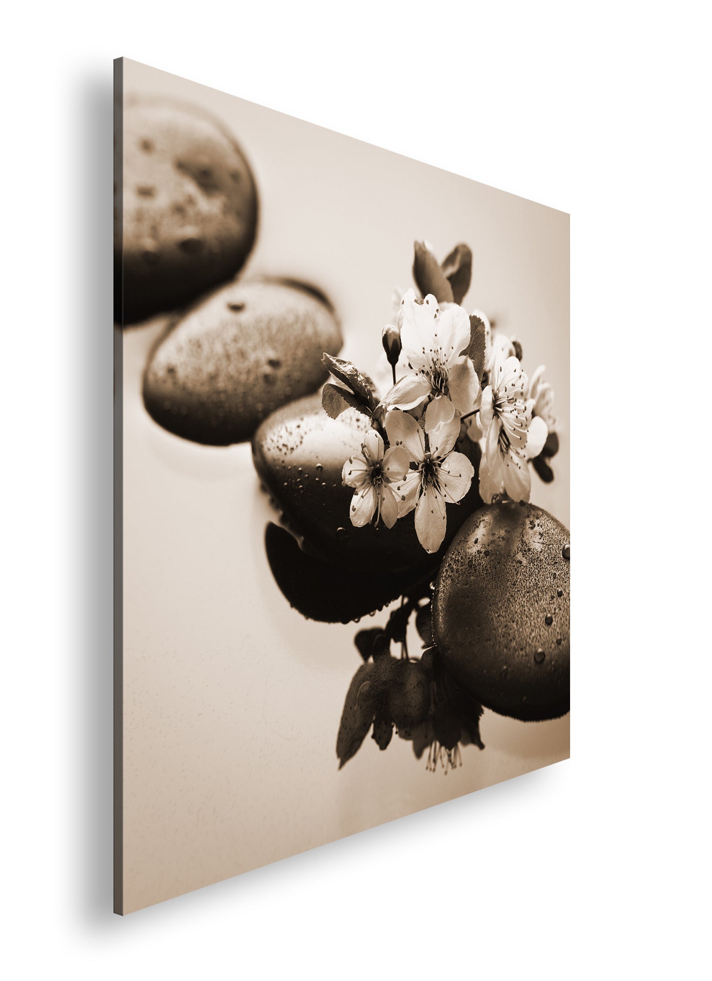 Hauptbild Sepia Quadratisch