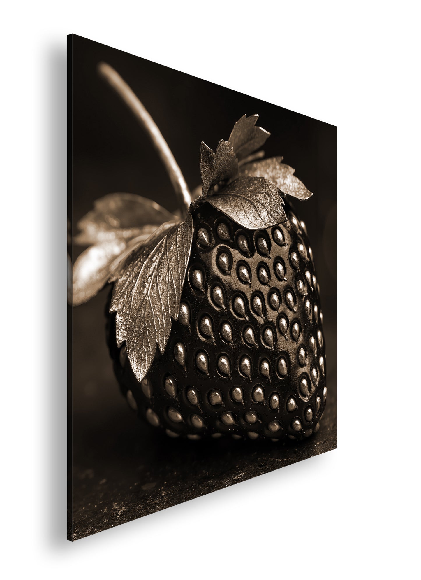 Hauptbild Sepia Quadratisch