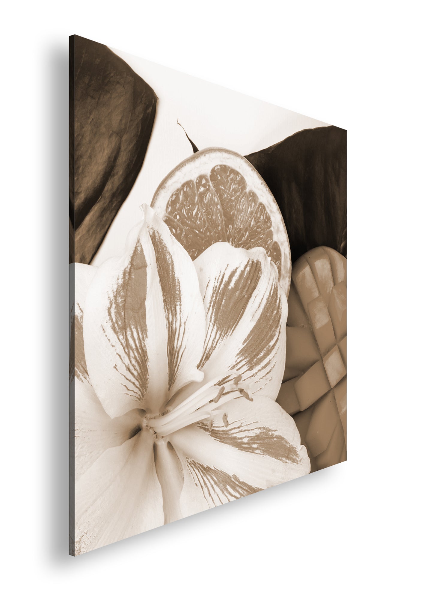 Hauptbild Sepia Quadratisch