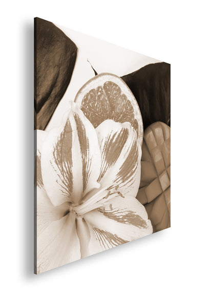 Hauptbild Sepia Quadratisch