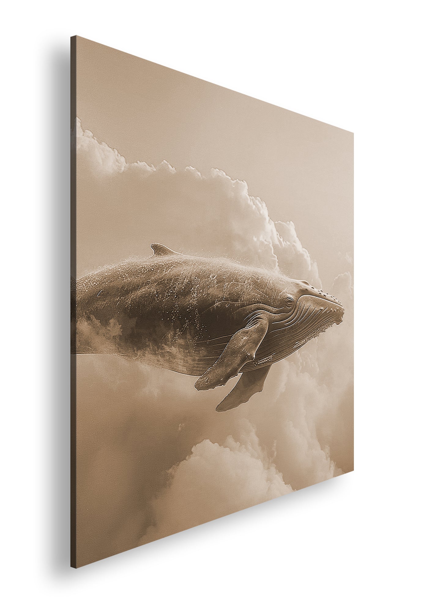 Hauptbild Sepia Quadratisch