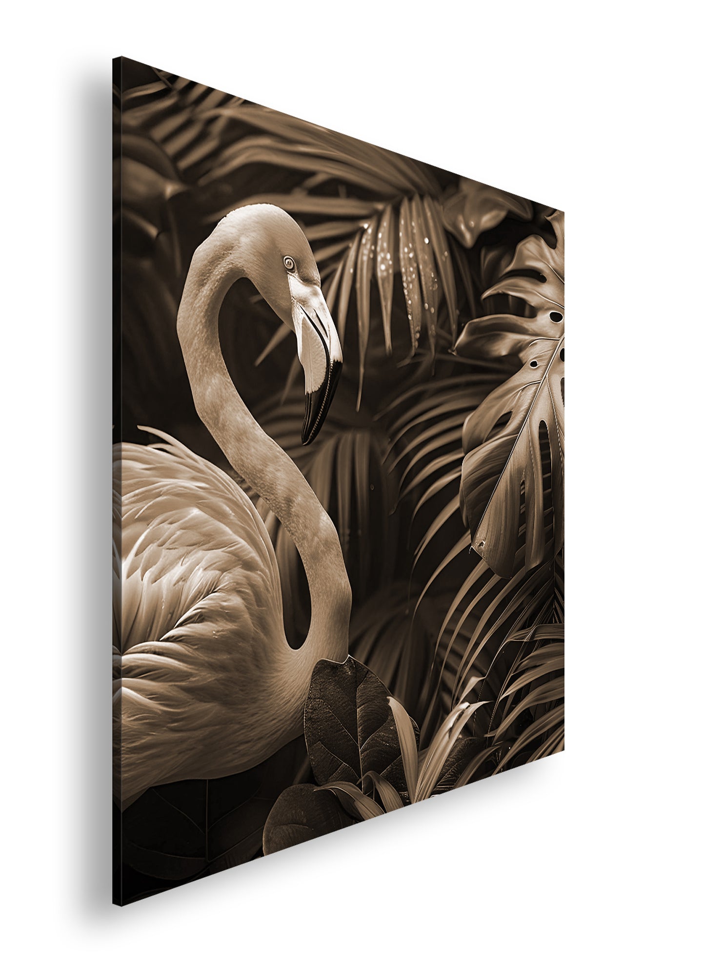 Hauptbild Sepia Quadratisch