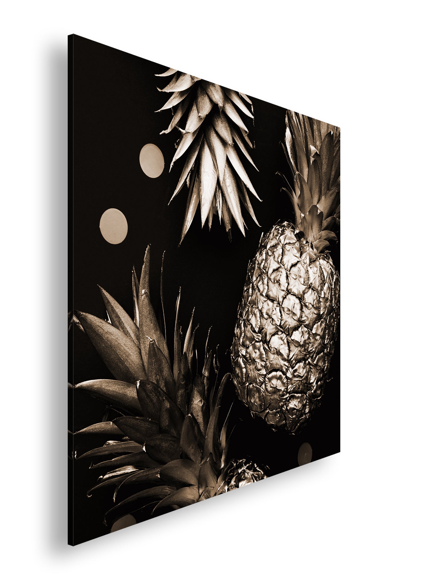 Hauptbild Sepia Quadratisch