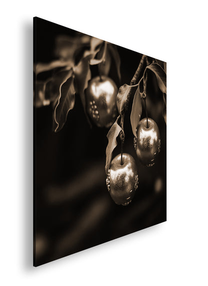 Hauptbild Sepia Quadratisch