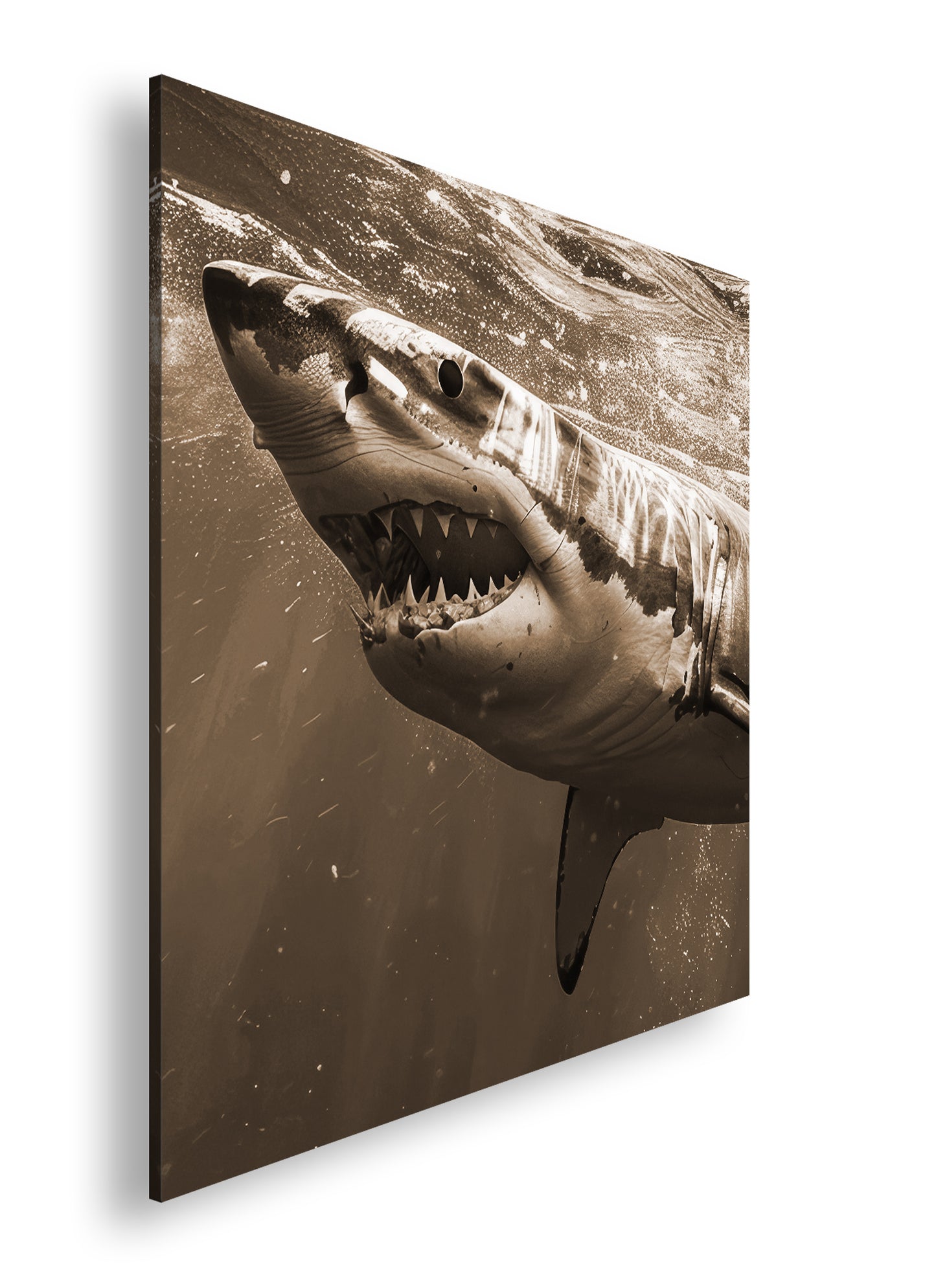 Hauptbild Sepia Quadratisch