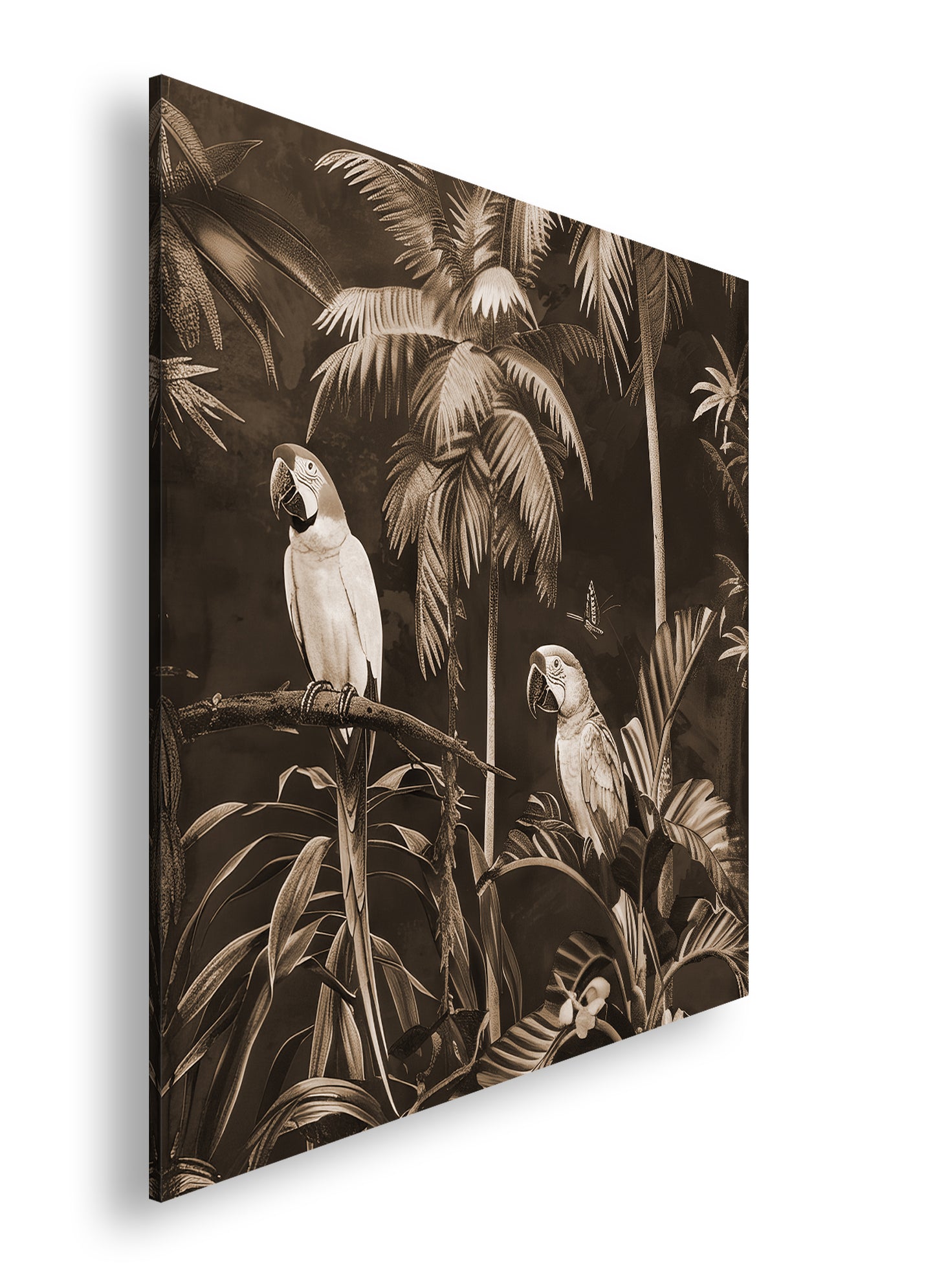 Hauptbild Sepia Quadratisch