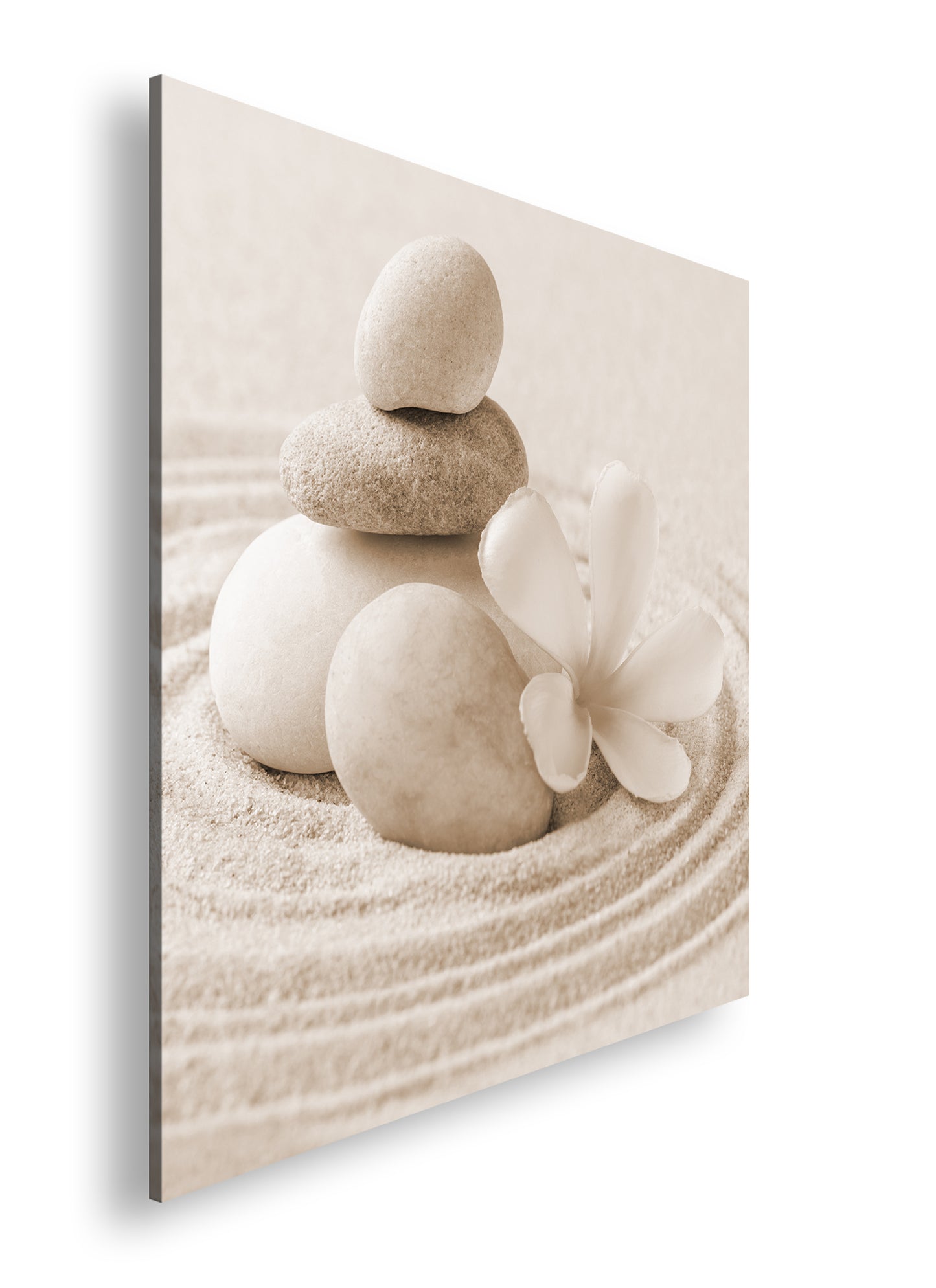 Hauptbild Sepia Quadratisch