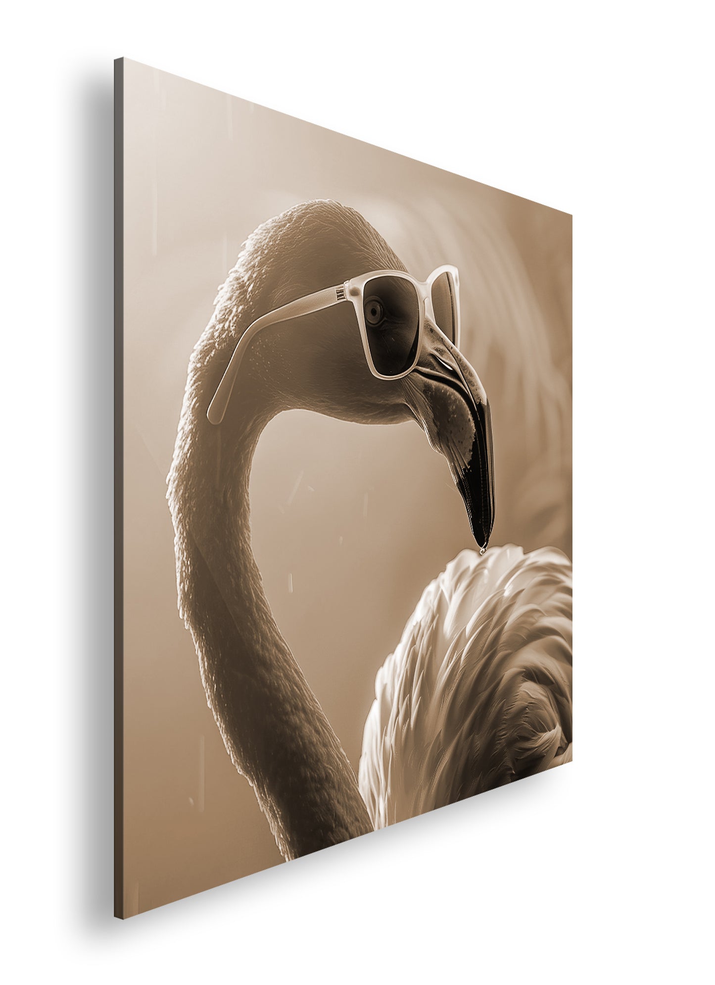 Hauptbild Sepia Quadratisch