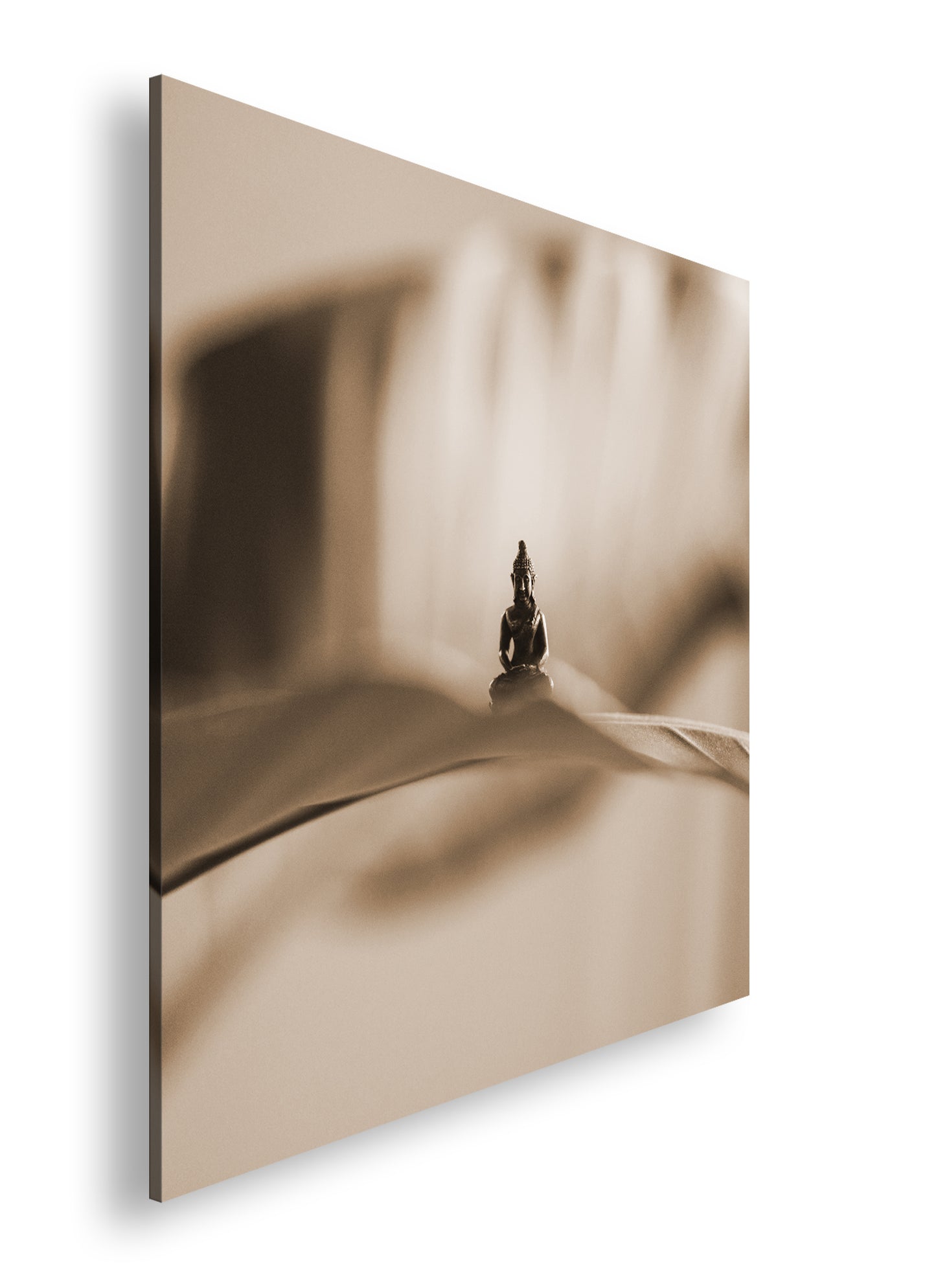 Hauptbild Sepia Quadratisch