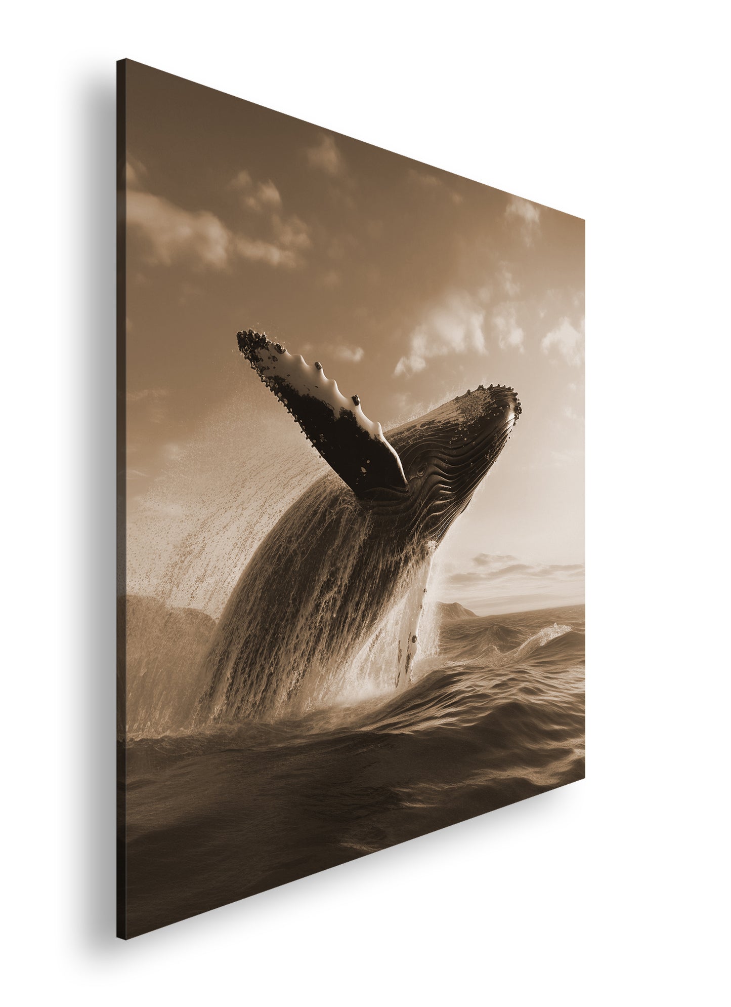 Hauptbild Sepia Quadratisch