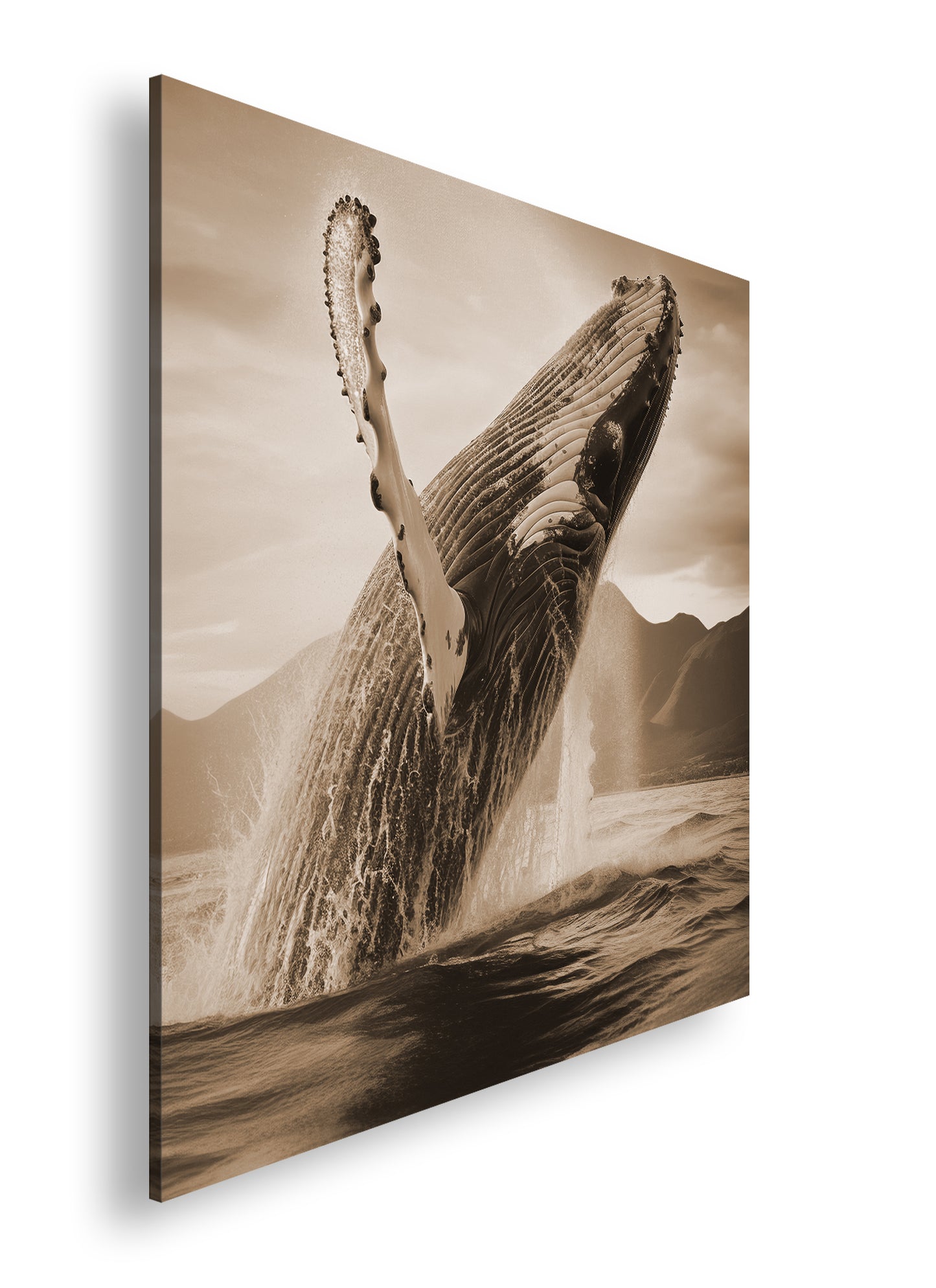 Hauptbild Sepia Quadratisch