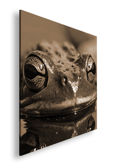 Hauptbild Sepia Quadratisch