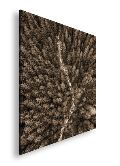 Hauptbild Sepia Quadratisch