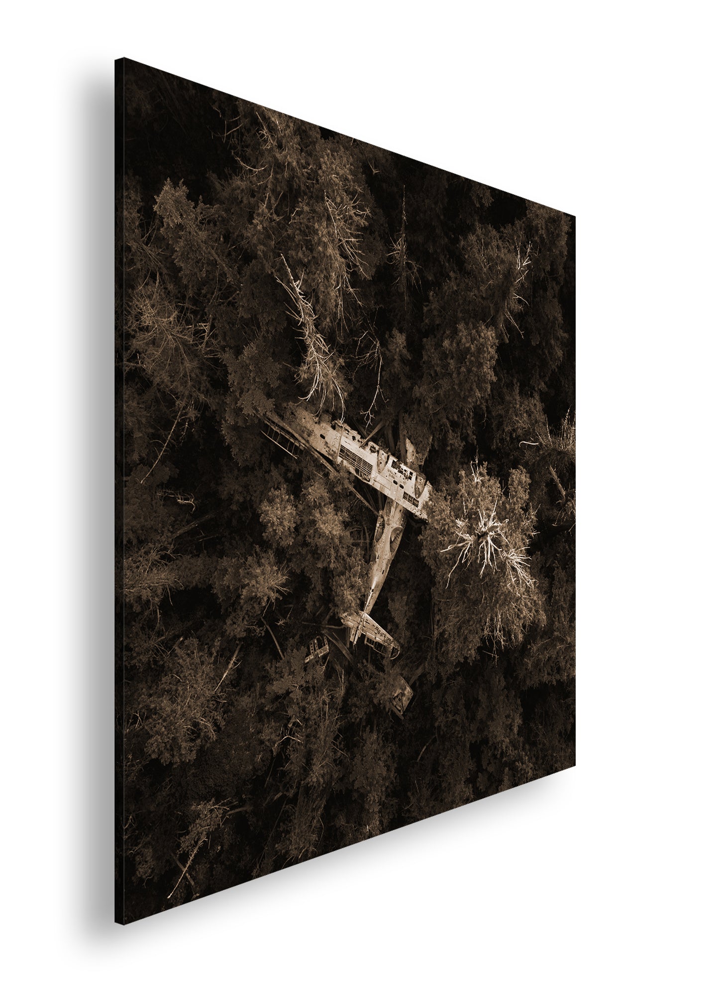 Hauptbild Sepia Quadratisch