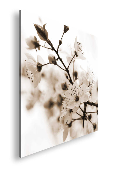 Hauptbild Sepia Quadratisch