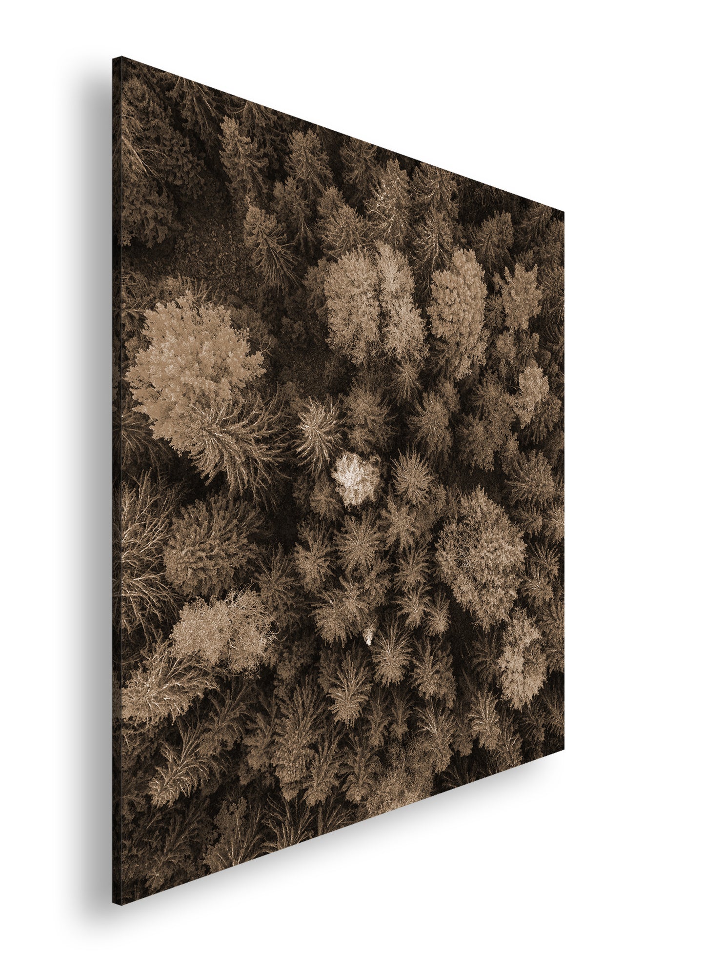 Hauptbild Sepia Quadratisch