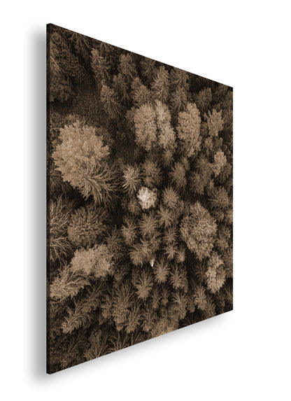 Hauptbild Sepia Quadratisch