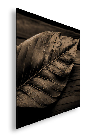 Hauptbild Sepia Quadratisch