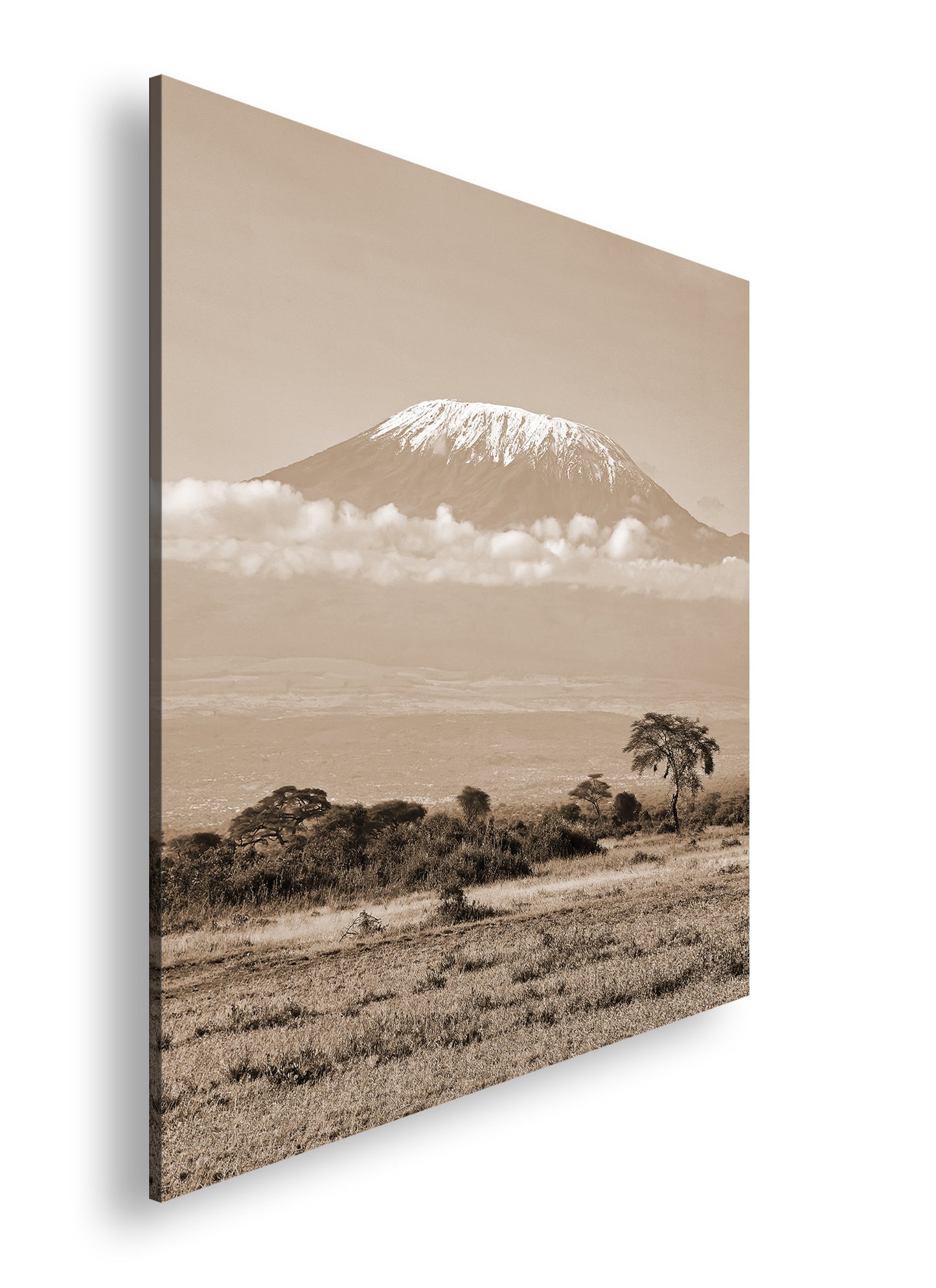 Hauptbild Sepia Quadratisch