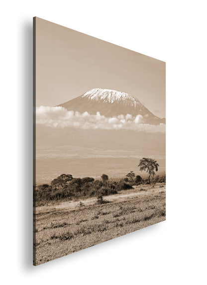 Hauptbild Sepia Quadratisch