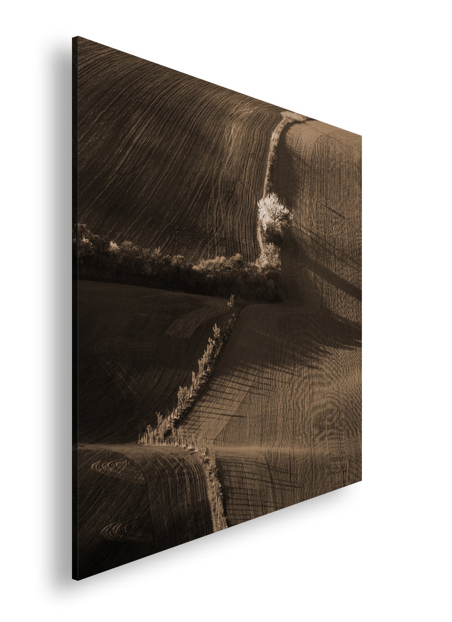 Hauptbild Sepia Quadratisch