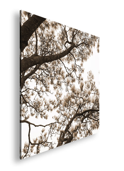 Hauptbild Sepia Quadratisch