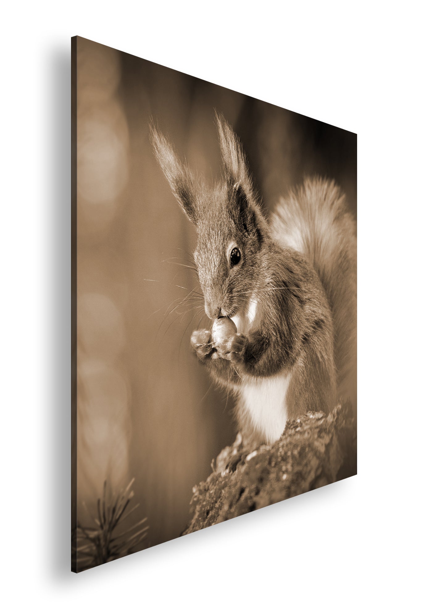 Hauptbild Sepia Quadratisch