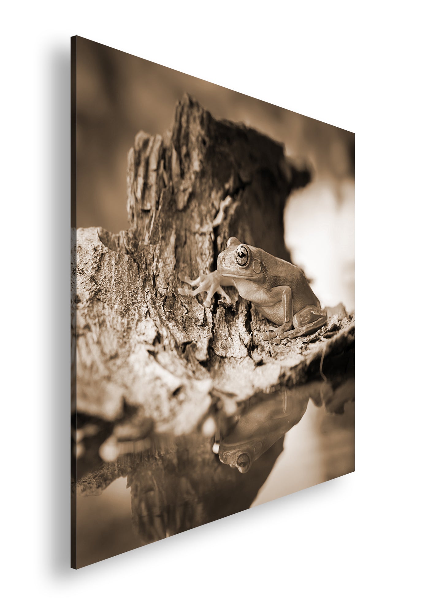 Hauptbild Sepia Quadratisch