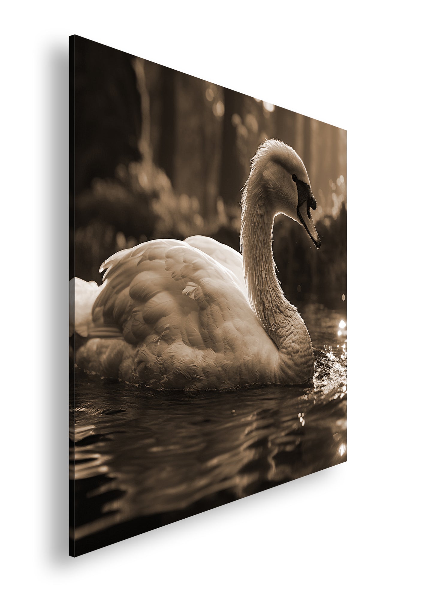 Hauptbild Sepia Quadratisch