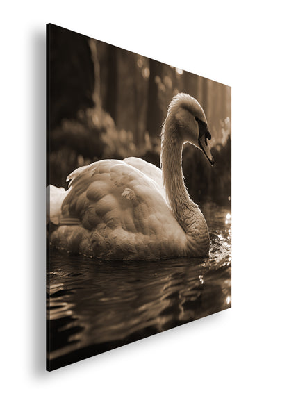 Hauptbild Sepia Quadratisch