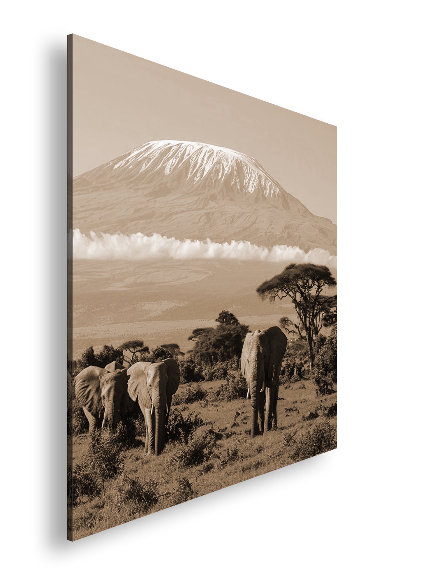 Hauptbild Sepia Quadratisch