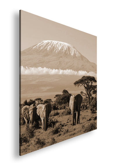 Hauptbild Sepia Quadratisch