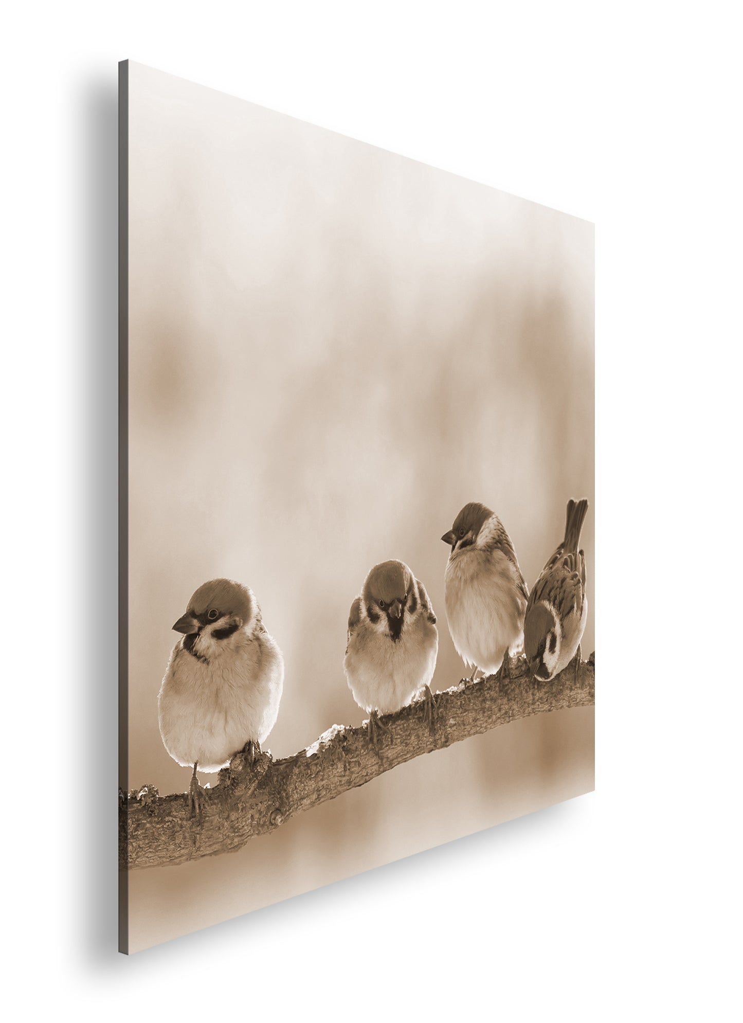 Hauptbild Sepia Quadratisch