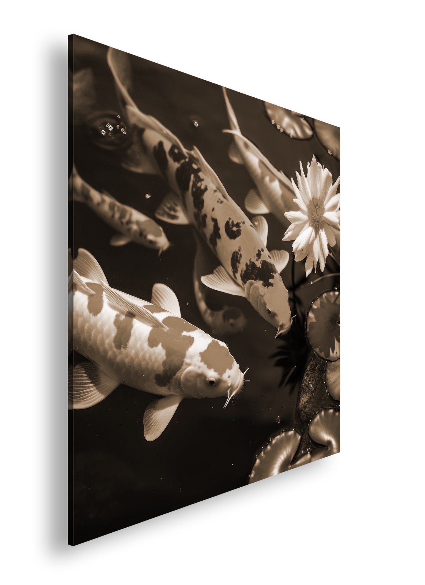 Hauptbild Sepia Quadratisch