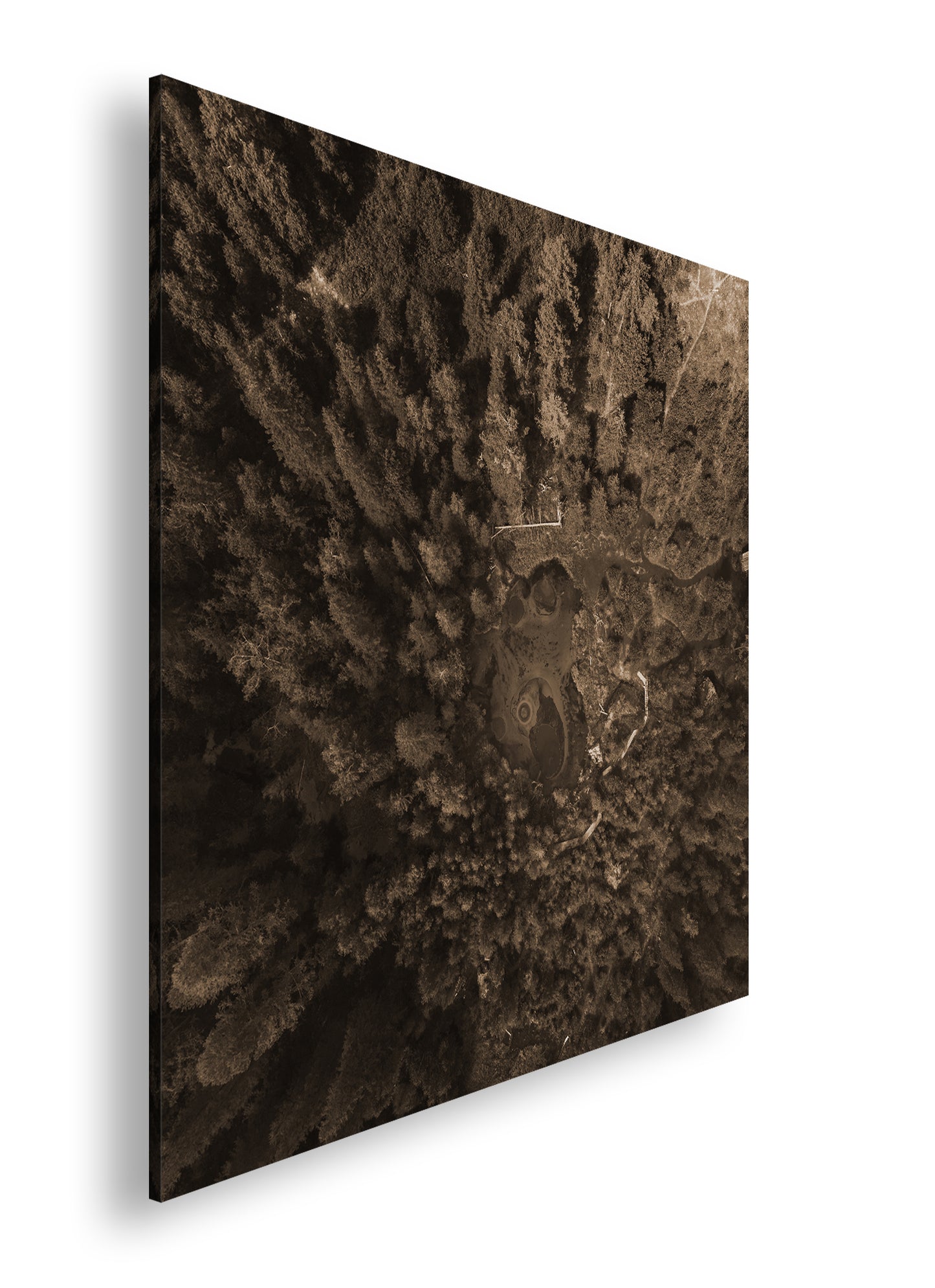 Hauptbild Sepia Quadratisch