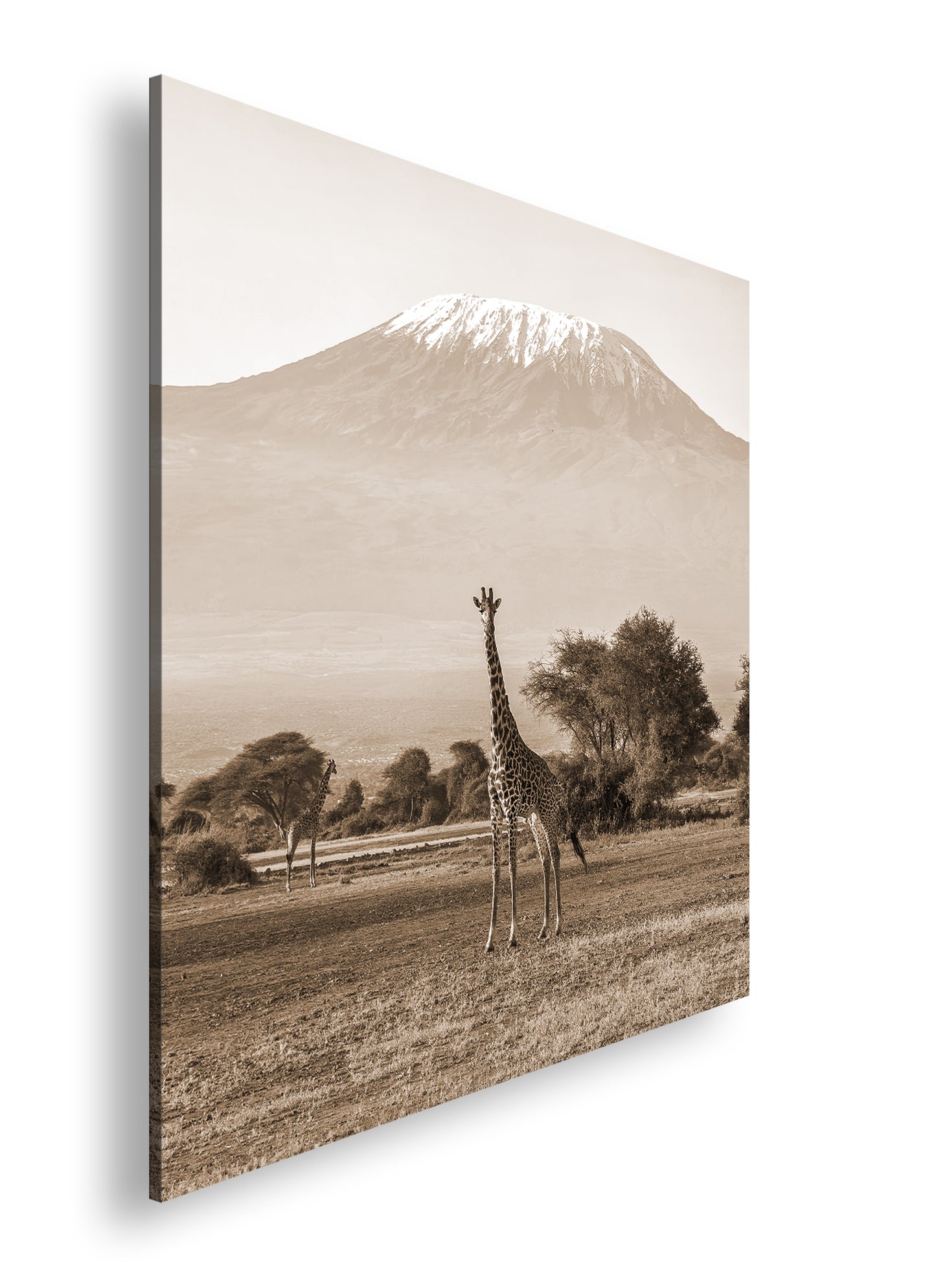 Hauptbild Sepia Quadratisch